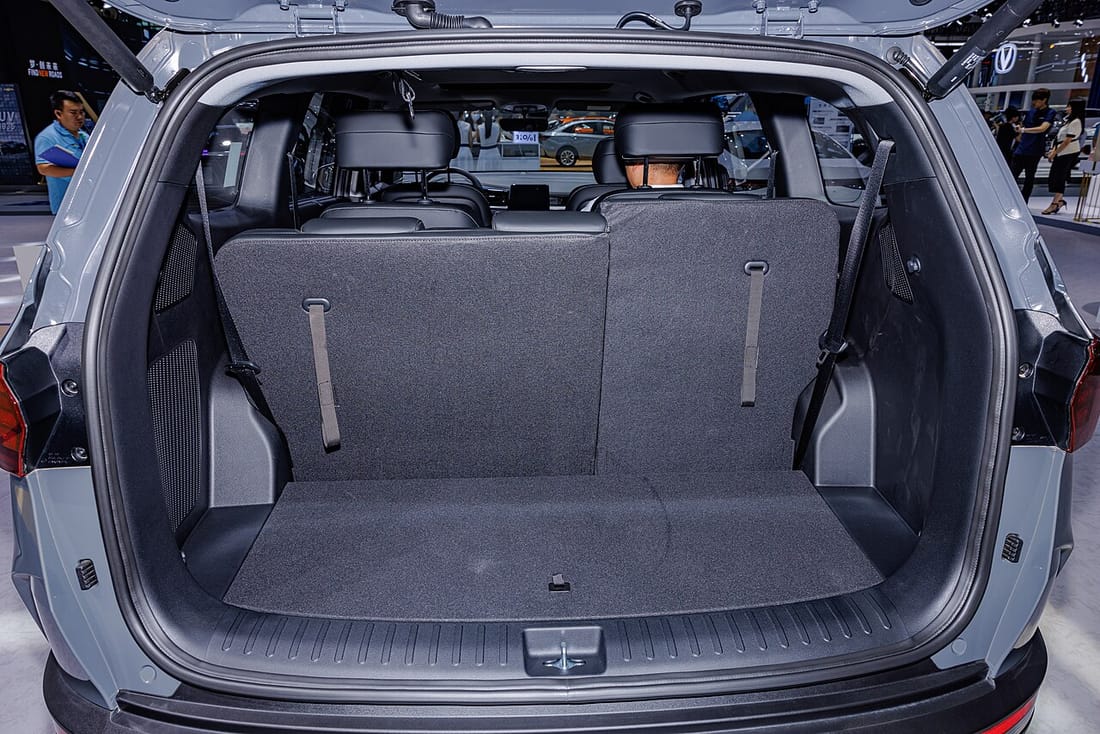 Hyundai Custo (Custin)